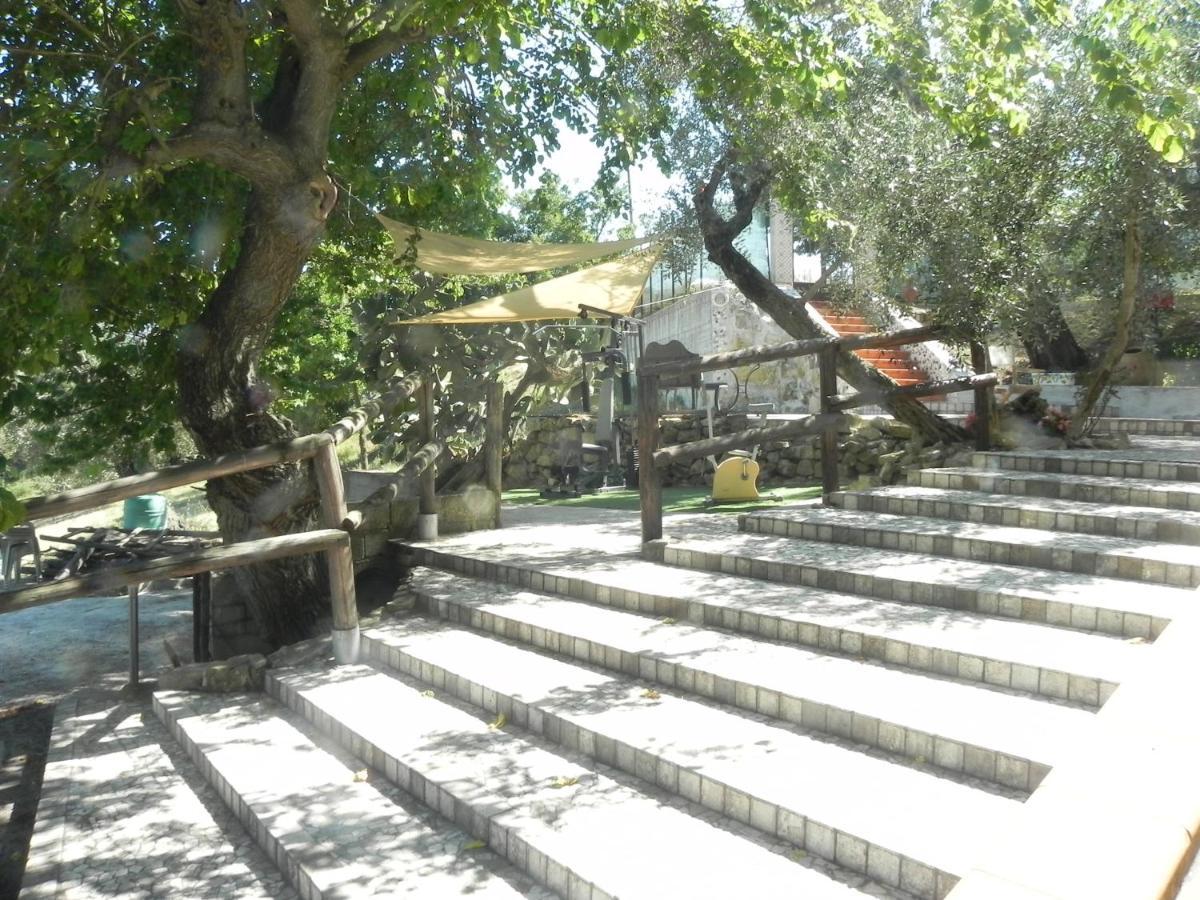 Agriturismo B&B Il Rifugio Di Nino Contursi Ngoại thất bức ảnh