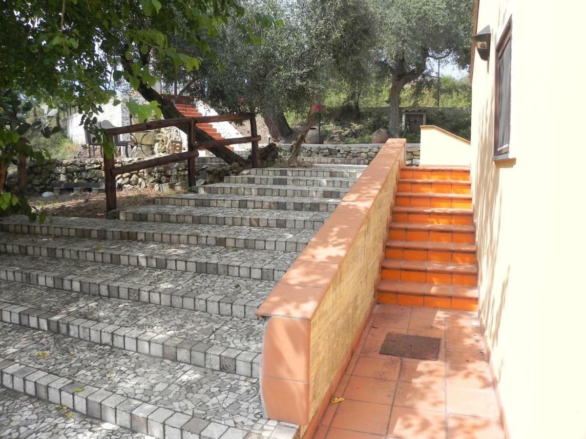 Agriturismo B&B Il Rifugio Di Nino Contursi Ngoại thất bức ảnh